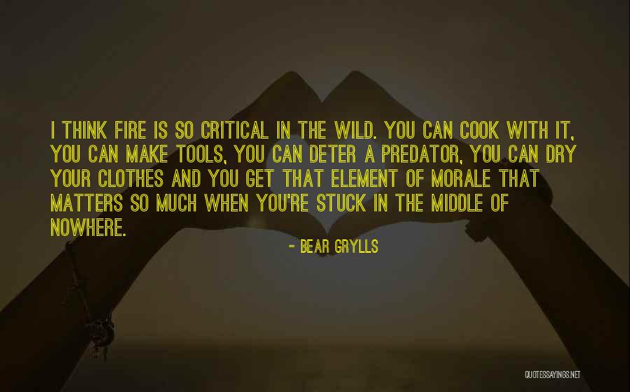 Grylls Bear Quotes By Bear Grylls Grylls Bear Quotes By Bear Grylls