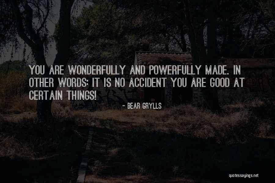 Grylls Bear Quotes By Bear Grylls Grylls Bear Quotes By Bear Grylls