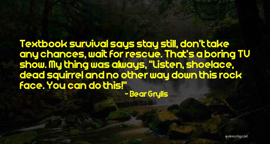 Grylls Bear Quotes By Bear Grylls Grylls Bear Quotes By Bear Grylls
