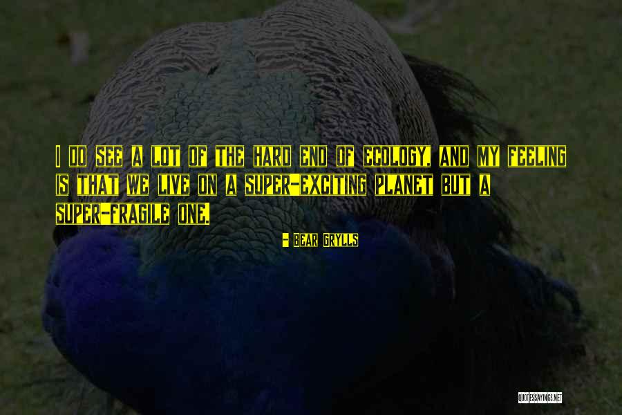 Grylls Bear Quotes By Bear Grylls Grylls Bear Quotes By Bear Grylls