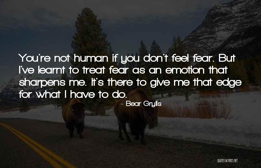 Grylls Bear Quotes By Bear Grylls Grylls Bear Quotes By Bear Grylls