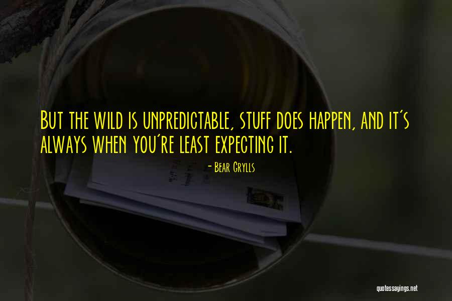 Grylls Bear Quotes By Bear Grylls Grylls Bear Quotes By Bear Grylls