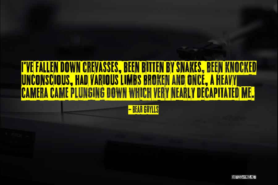 Grylls Bear Quotes By Bear Grylls Grylls Bear Quotes By Bear Grylls