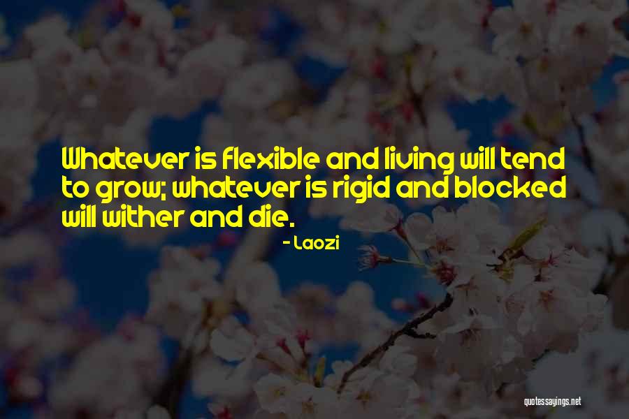 Grzech Quotes By Laozi Grzech Quotes By Laozi