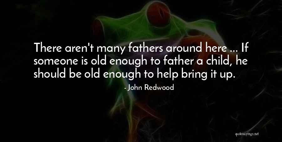 Gta Sa Police Maverick Quotes By John Redwood