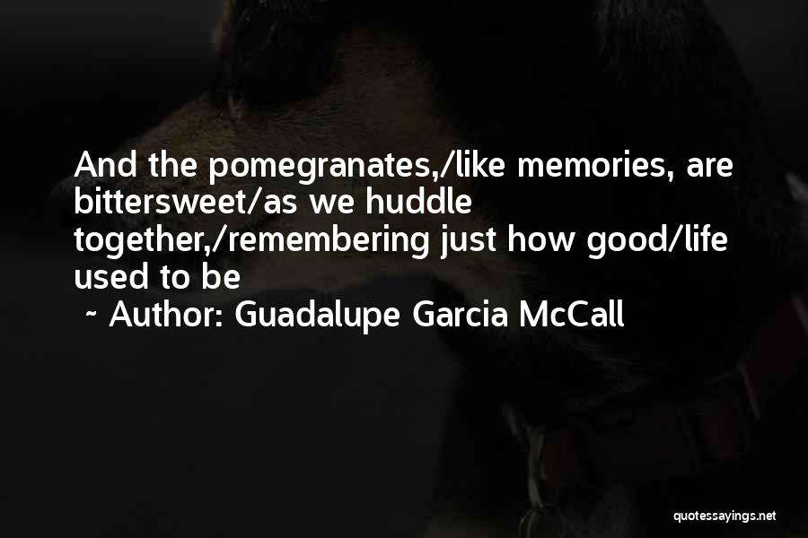 Guadalupe Garcia McCall Quotes 2024480