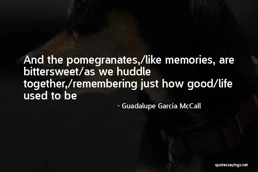 Guadalupe Garcia McCall Quotes 2024480