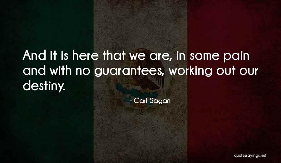 Gualdape Quotes By Carl Sagan Gualdape Quotes By Carl Sagan