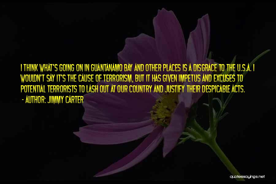 Guantanamo Quotes By Jimmy Carter