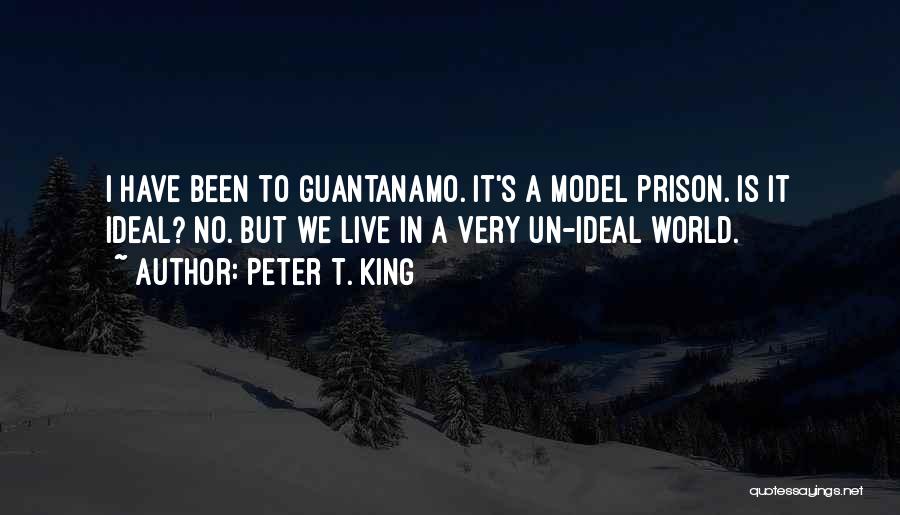 Guantanamo Quotes By Peter T. King