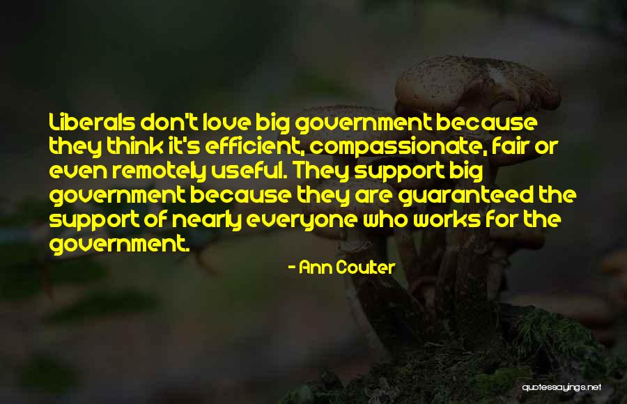 Guaranteed Love Quotes By Ann Coulter