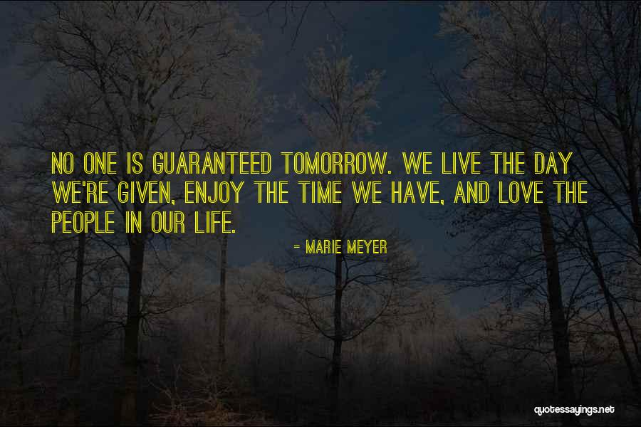 Guaranteed Love Quotes By Marie Meyer