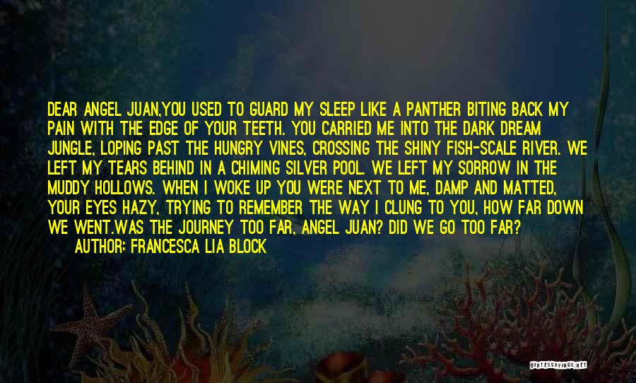 Guard Angel Quotes By Francesca Lia Block