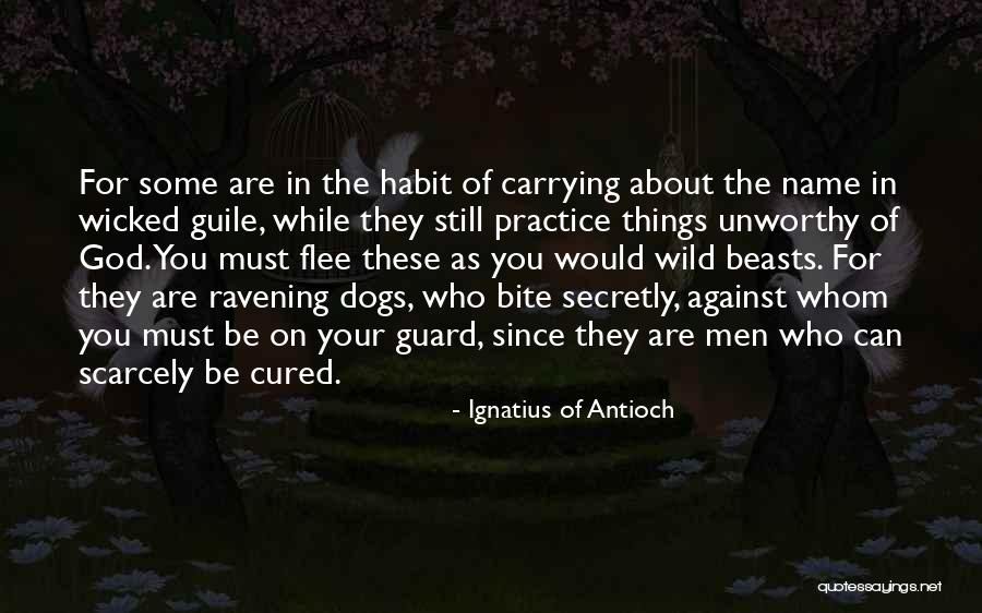 Guard Dog Quotes By Ignatius Of Antioch Guard Dog Quotes By Ignatius Of Antioch