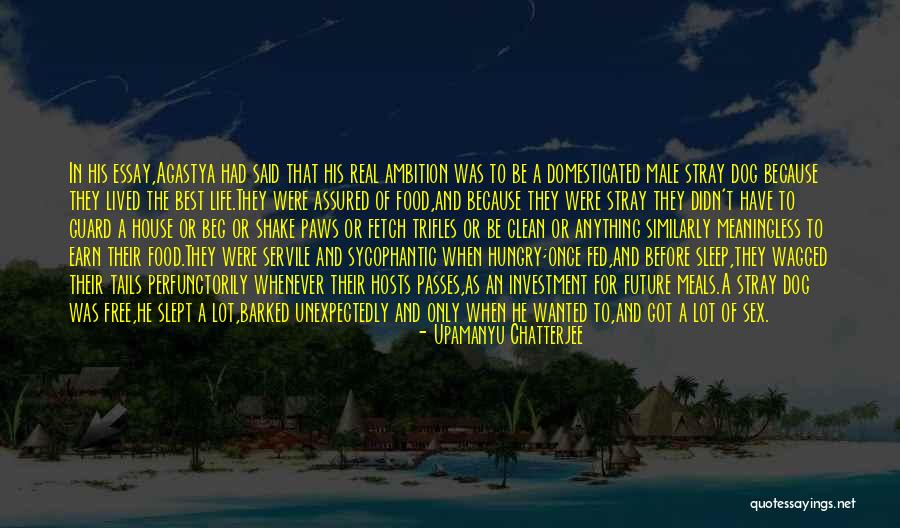 Guard Dog Quotes By Upamanyu Chatterjee Guard Dog Quotes By Upamanyu Chatterjee