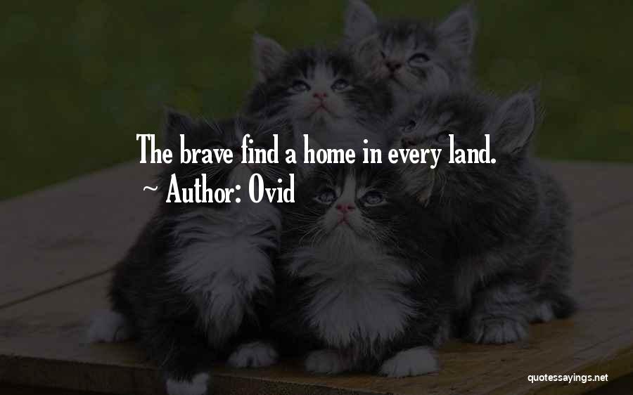 Guardaespaldas Feos Quotes By Ovid