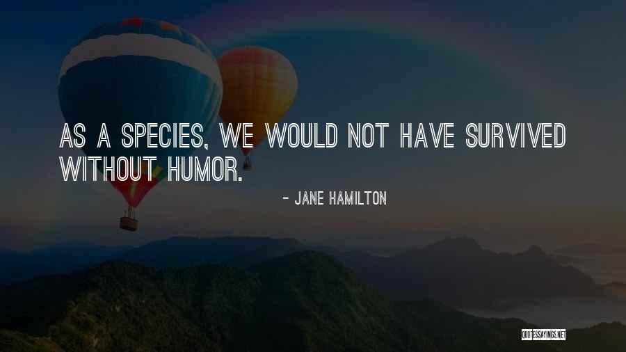 Guardanapo Na Quotes By Jane Hamilton Guardanapo Na Quotes By Jane Hamilton