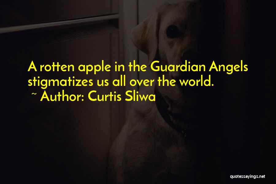 Guardian Angels Quotes By Curtis Sliwa