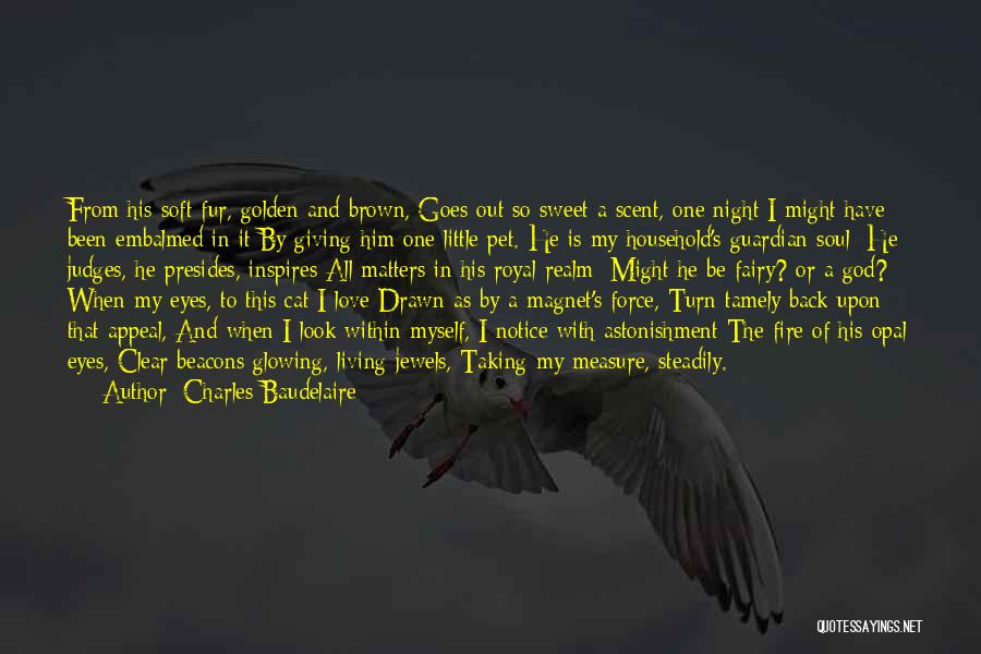 Guardian Love Quotes By Charles Baudelaire