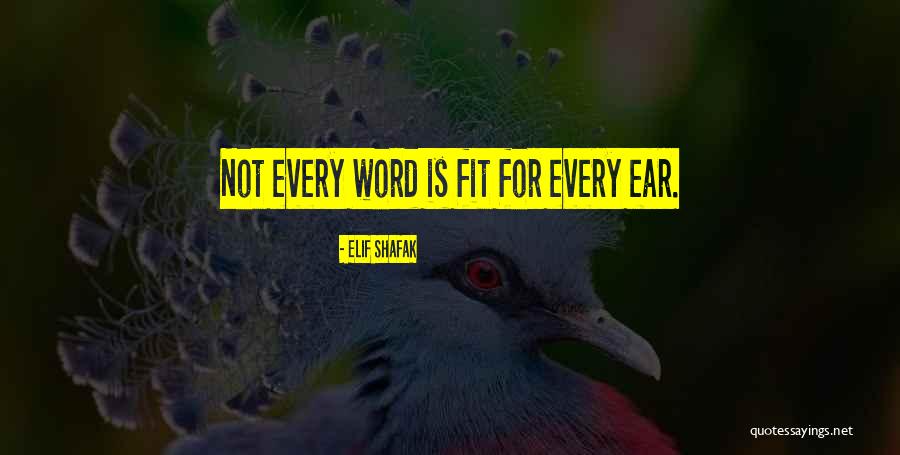 Guardiani Shoes Quotes By Elif Shafak