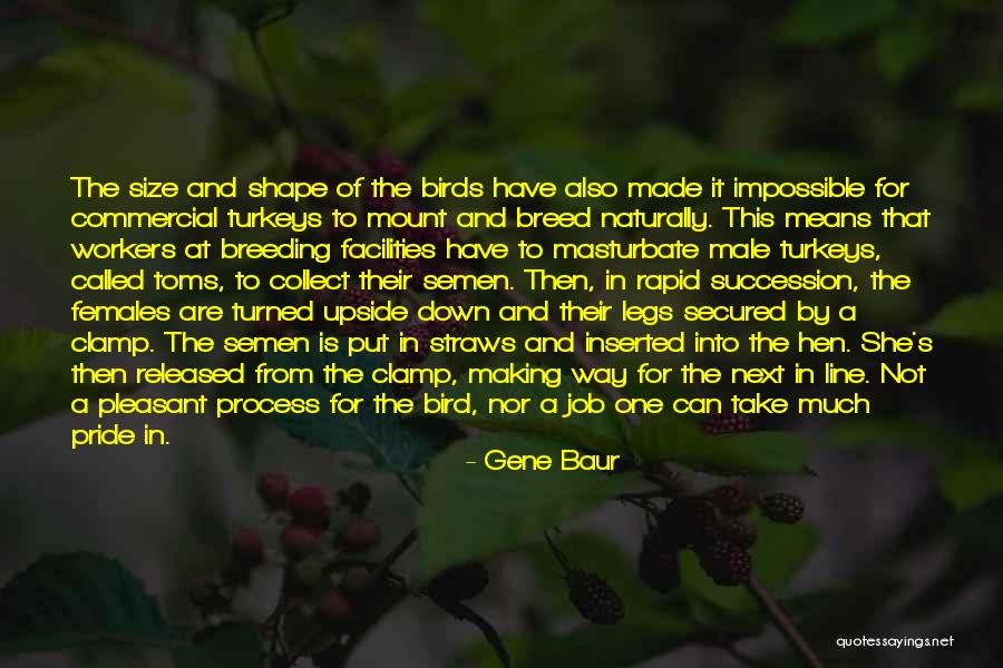 Guardiano Cane Quotes By Gene Baur Guardiano Cane Quotes By Gene Baur