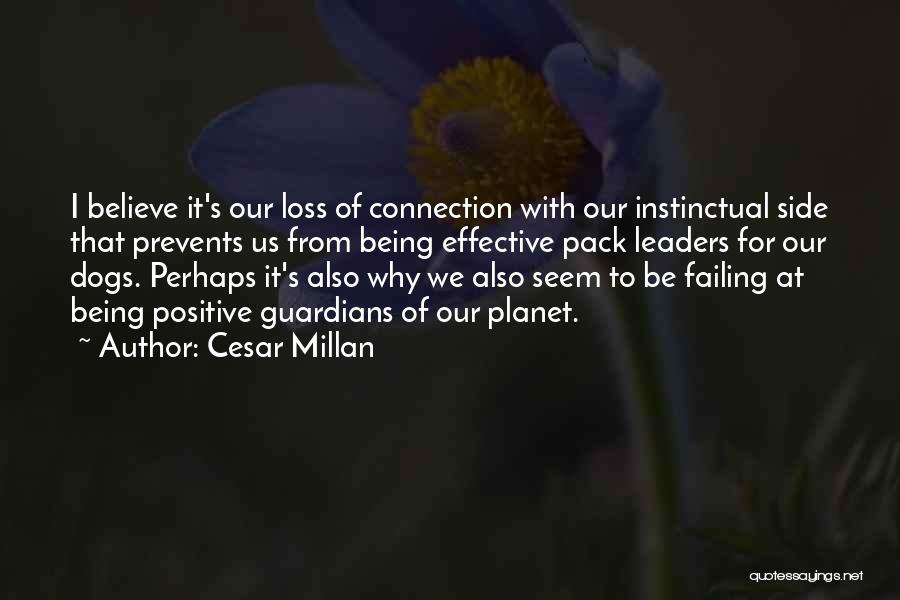 Guardians Quotes By Cesar Millan Guardians Quotes By Cesar Millan