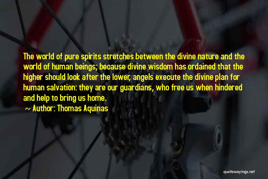 Guardians Quotes By Thomas Aquinas Guardians Quotes By Thomas Aquinas