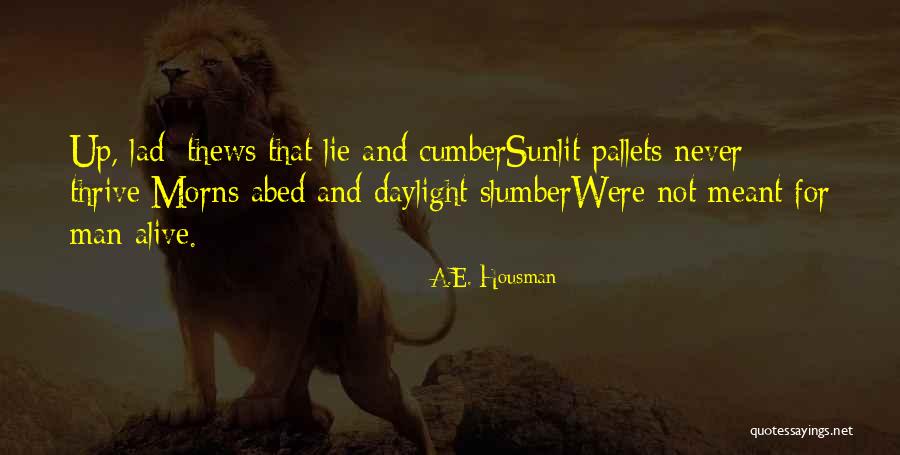 Guarnaccia Quotes By A.E. Housman Guarnaccia Quotes By A.E. Housman