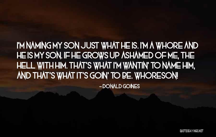 Guarnaschelli Boyfriend Quotes By Donald Goines Guarnaschelli Boyfriend Quotes By Donald Goines