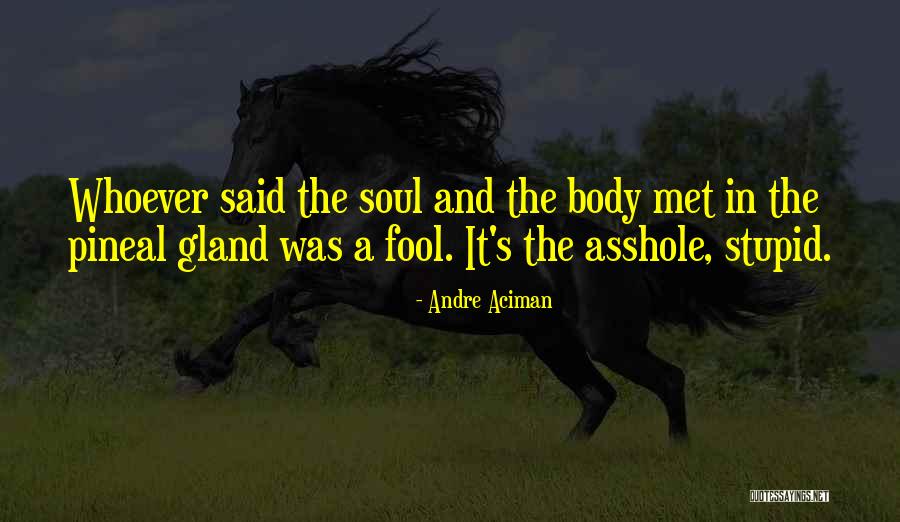 Guasp Enrique Quotes By Andre Aciman Guasp Enrique Quotes By Andre Aciman