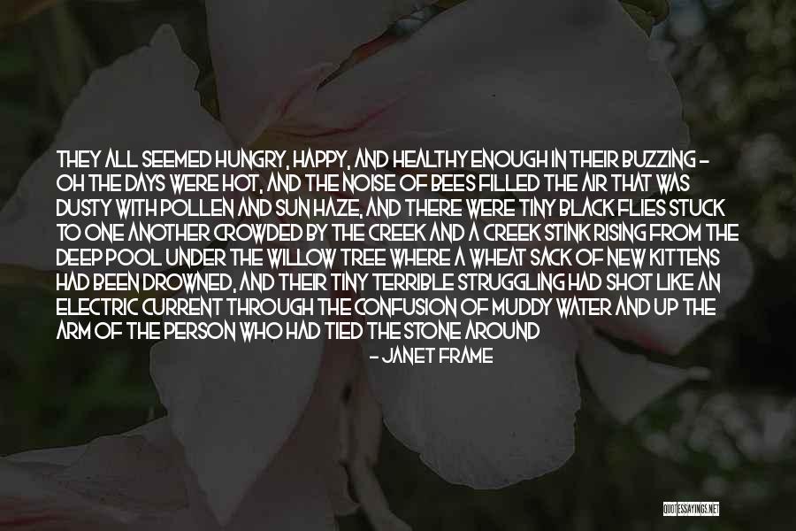 Gubbins Arquitectos Quotes By Janet Frame Gubbins Arquitectos Quotes By Janet Frame