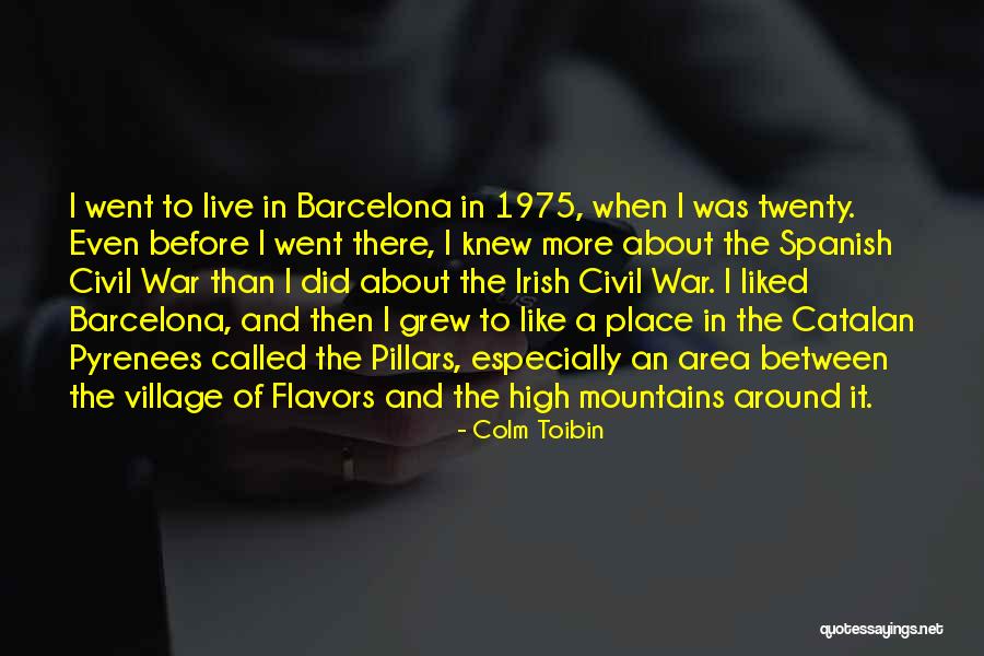 Guckin Quotes By Colm Toibin Guckin Quotes By Colm Toibin