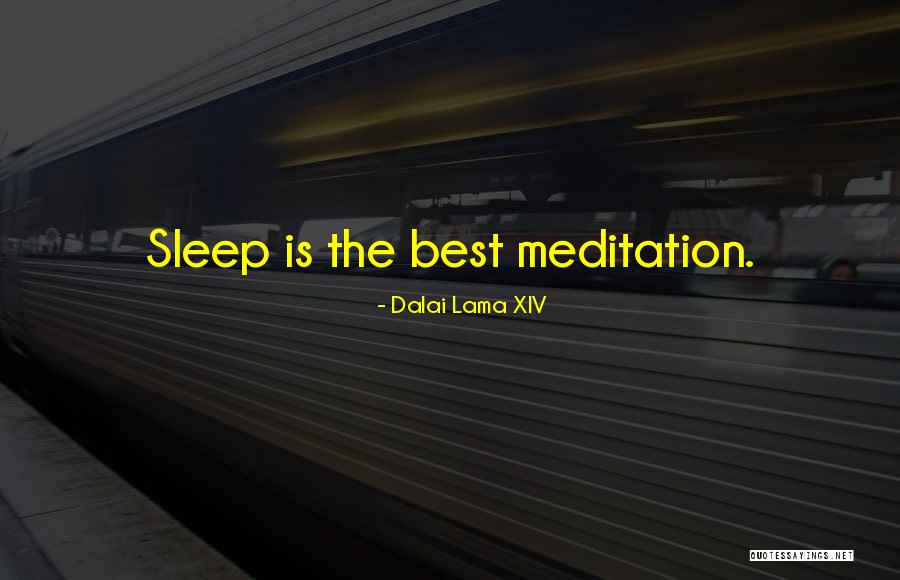 Gudda Quotes By Dalai Lama XIV