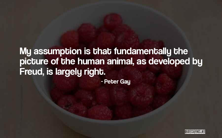 Guddalomodda Quotes By Peter Gay Guddalomodda Quotes By Peter Gay