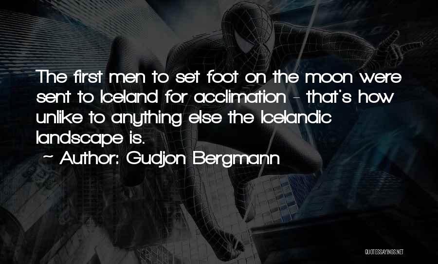 Gudjon Bergmann Quotes 1897706