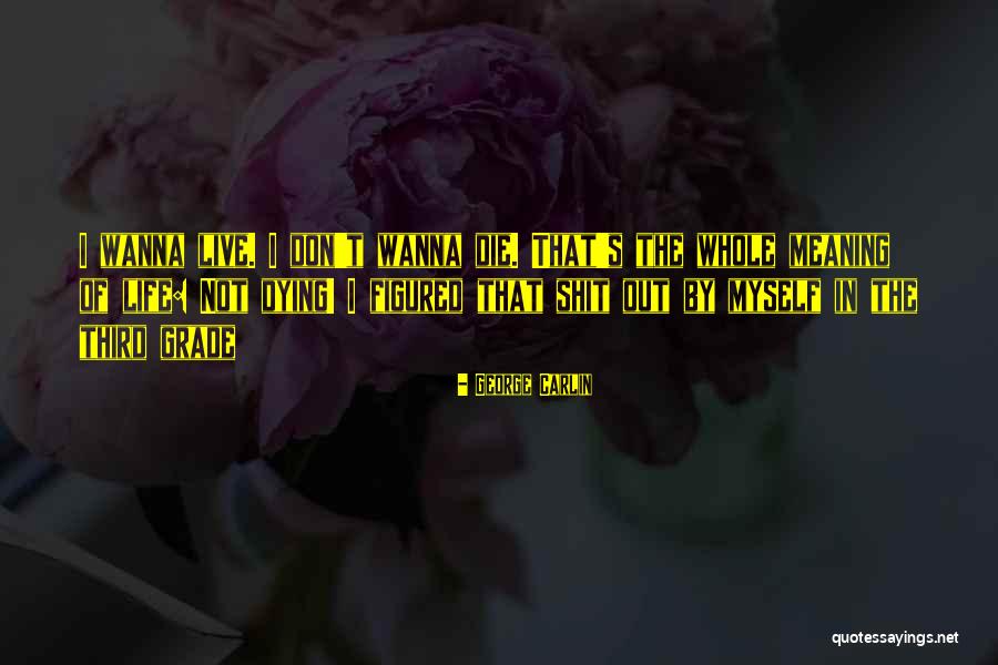 Gudmundson Name Quotes By George Carlin Gudmundson Name Quotes By George Carlin
