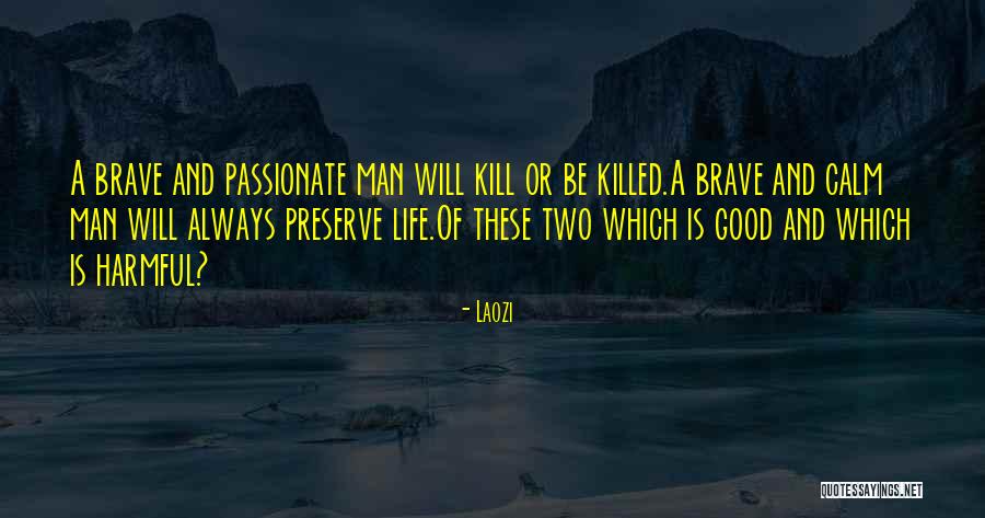 Guennadi Ulibin Quotes By Laozi Guennadi Ulibin Quotes By Laozi
