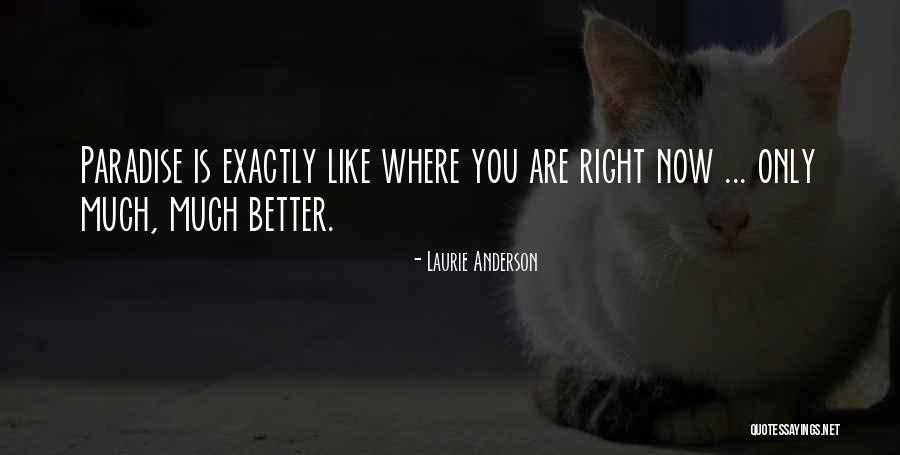 Guepardo Dibujo Quotes By Laurie Anderson Guepardo Dibujo Quotes By Laurie Anderson