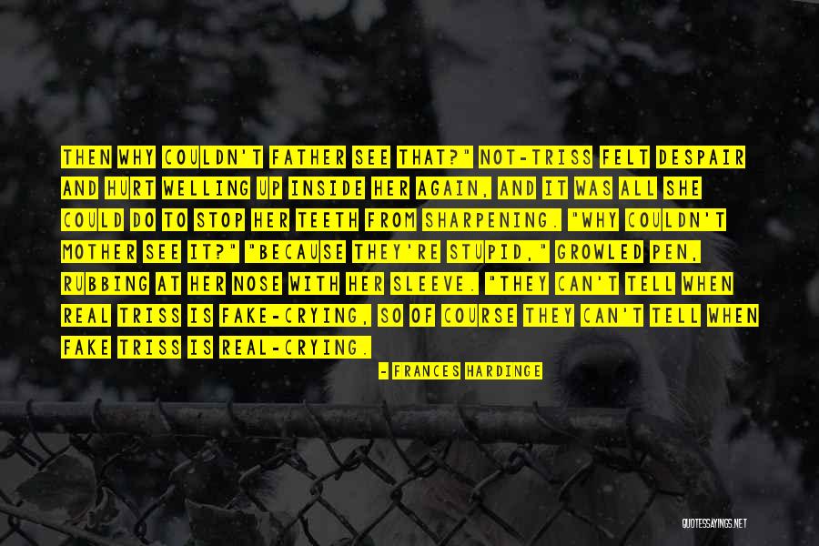 Guerman Aliev Quotes By Frances Hardinge Guerman Aliev Quotes By Frances Hardinge
