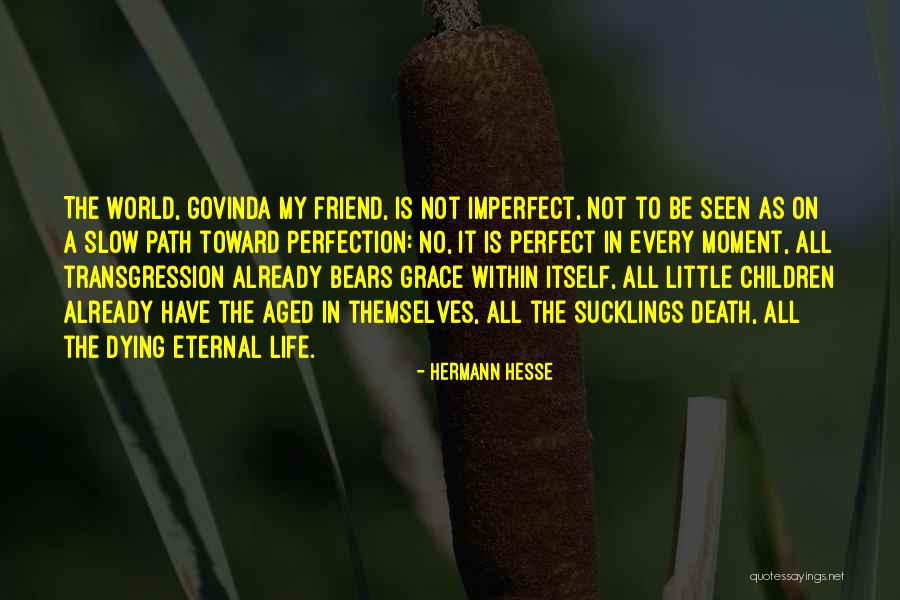 Guerman Aliev Quotes By Hermann Hesse Guerman Aliev Quotes By Hermann Hesse