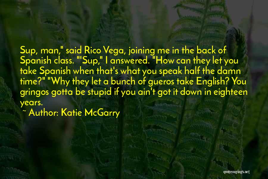Gueros Quotes By Katie McGarry