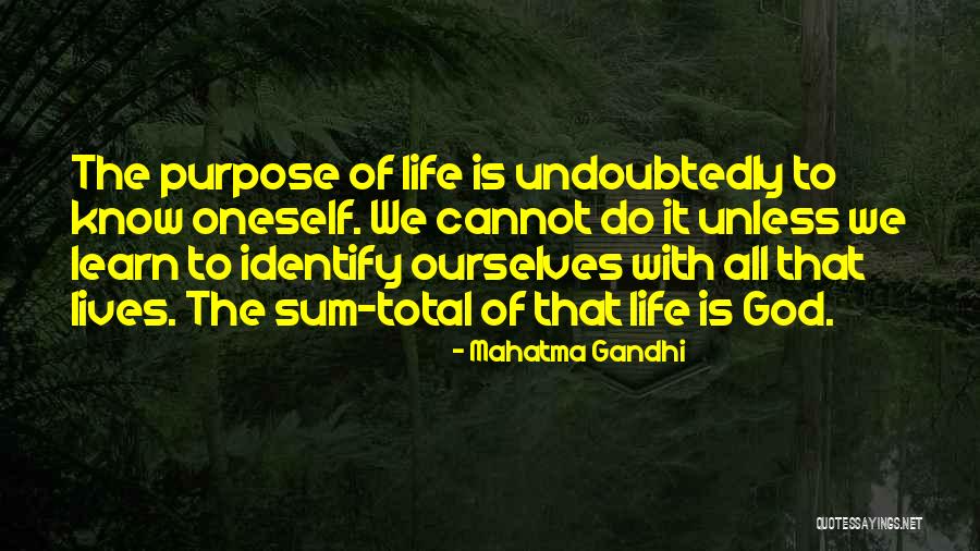 Guerrero Negro Quotes By Mahatma Gandhi
