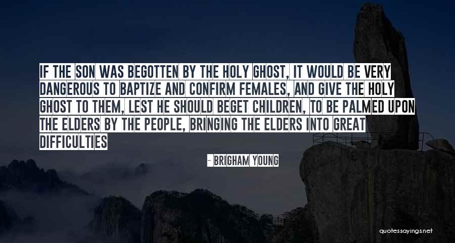 Guerriers Japonais Quotes By Brigham Young
