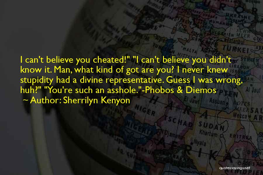 Guess I Was Wrong Quotes By Sherrilyn Kenyon