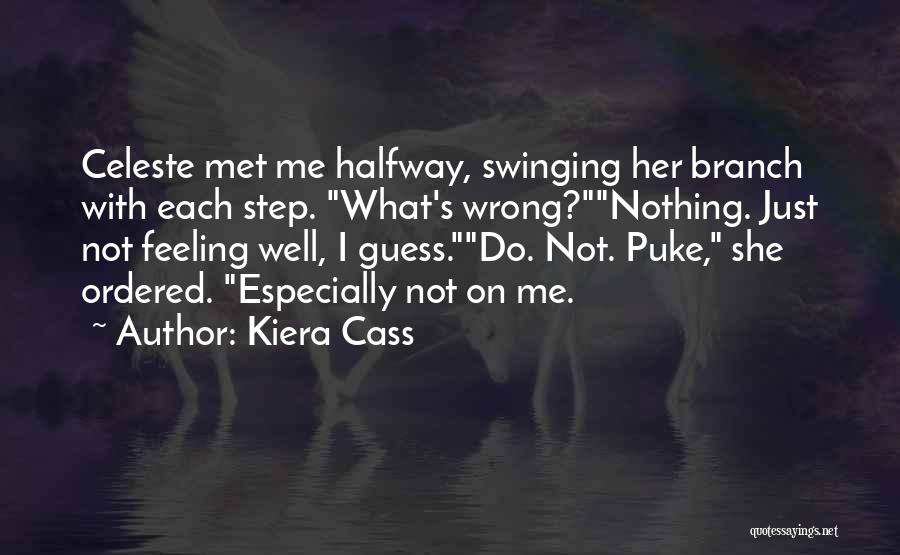 Guess Quotes By Kiera Cass