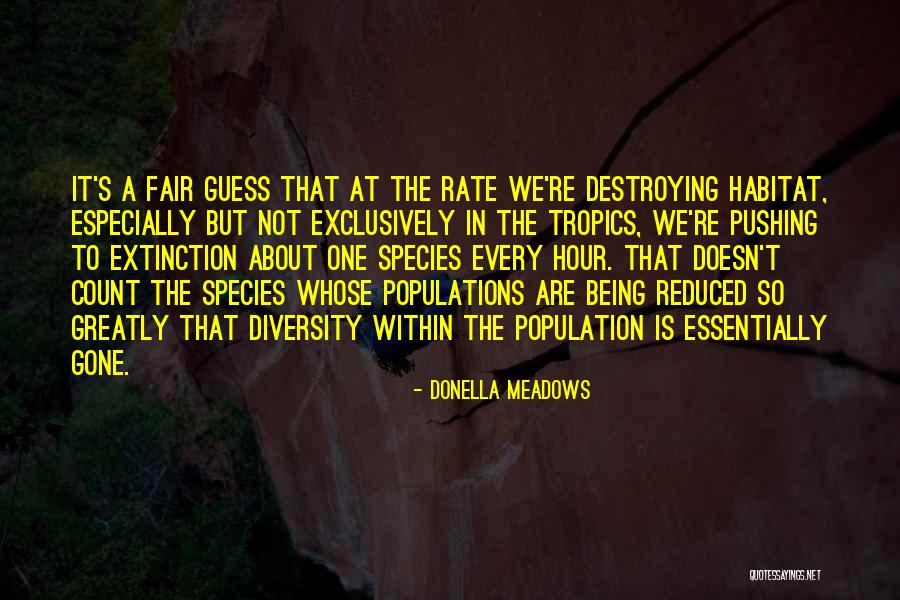 Guess Whose Quotes By Donella Meadows