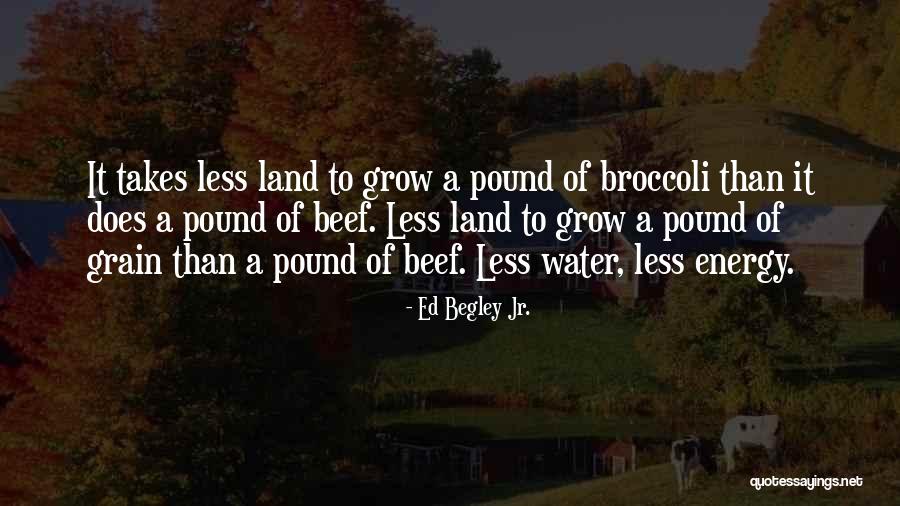 Guesses In A Sentence Quotes By Ed Begley Jr. Guesses In A Sentence Quotes By Ed Begley Jr.
