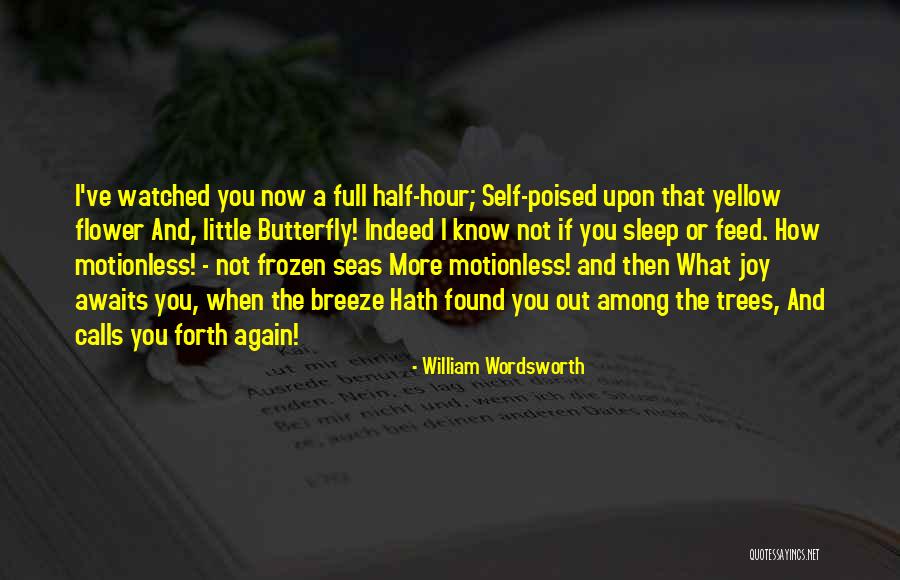 Guesswork Def Quotes By William Wordsworth Guesswork Def Quotes By William Wordsworth