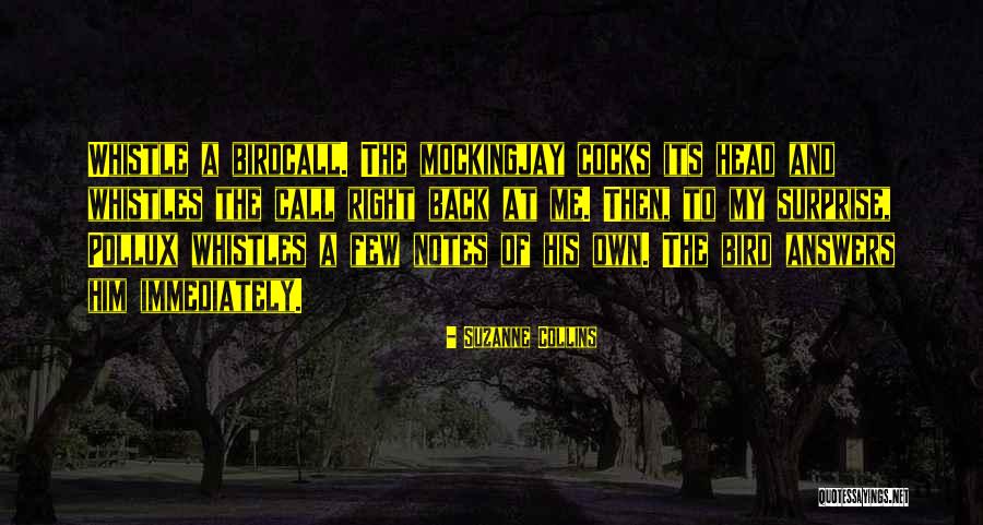 Gugal Art Quotes By Suzanne Collins Gugal Art Quotes By Suzanne Collins