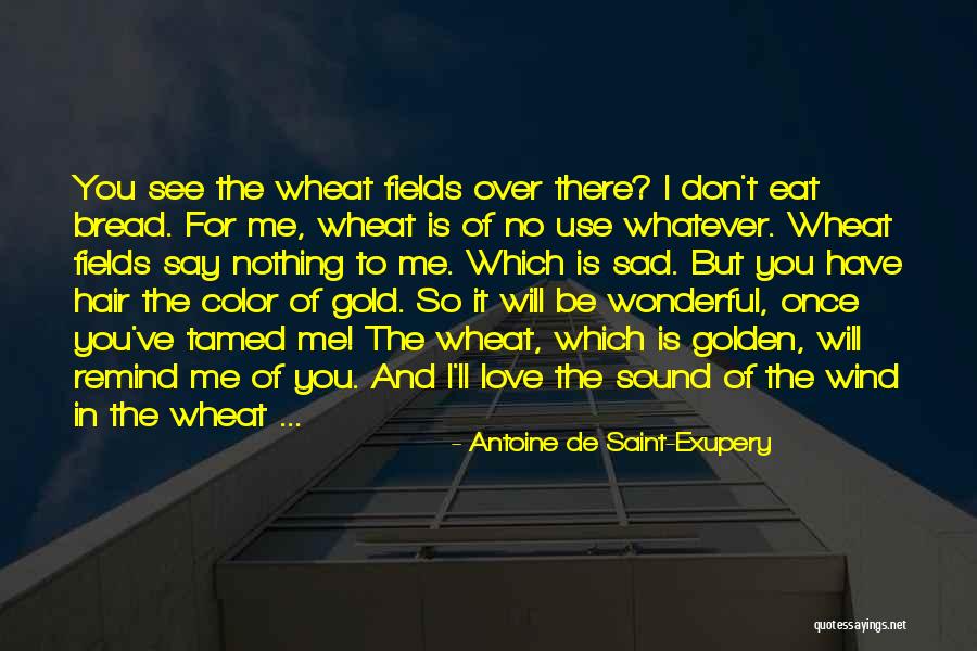Guhantara Quotes By Antoine De Saint-Exupery Guhantara Quotes By Antoine De Saint-Exupery